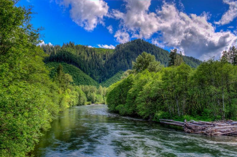 McKenzie River - Blue sky with clouds above a river winding through green trees